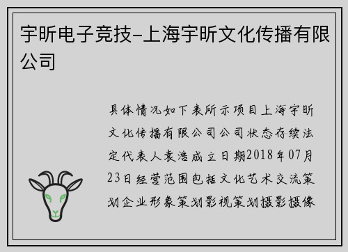 宇昕电子竞技-上海宇昕文化传播有限公司